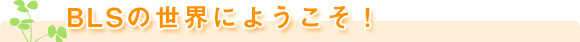 ようこそ!